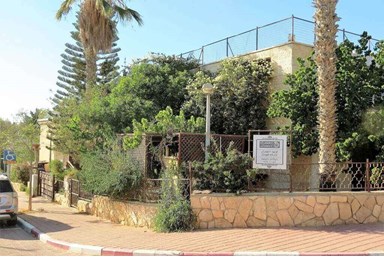 אמוניט - חצר ונוף