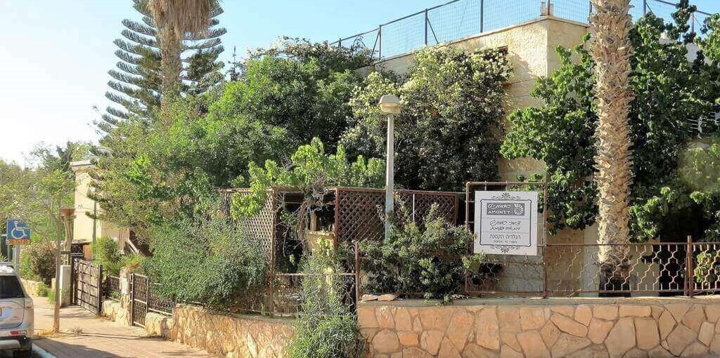 אמוניט אמוניט - מבט מבחוץ.JPG