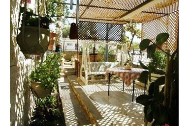 אמוניט - חצר ונוף