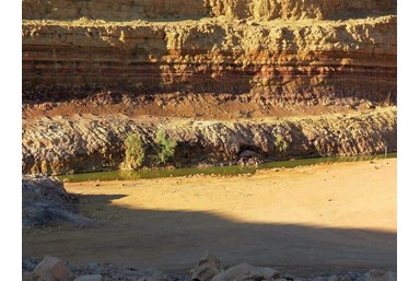 אמוניט - טיולים מודרכים