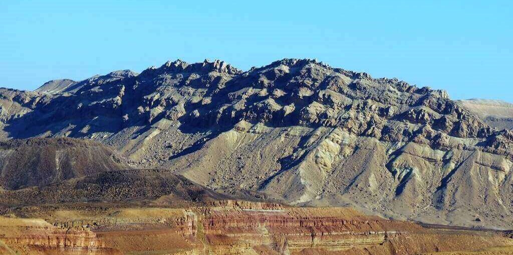 אמוניט כרבולת חרירים.JPG