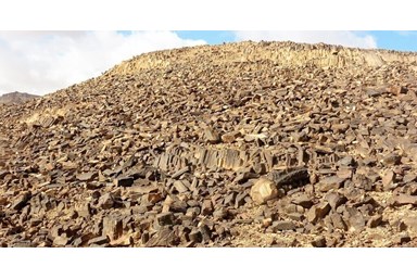 אמוניט - טיולים מודרכים