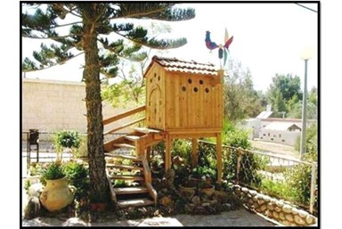 אמוניט - חצר ונוף