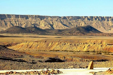 אמוניט - טיולים מודרכים