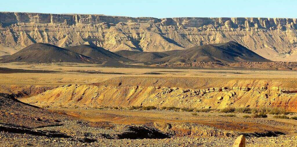אמוניט גבעת געש.JPG