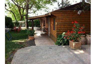 אצל רונית בג'קוזי