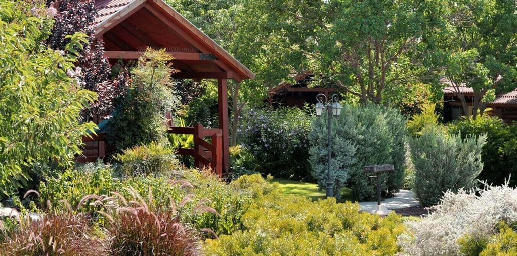 בקתות רינה ברמה החצר (3).JPG