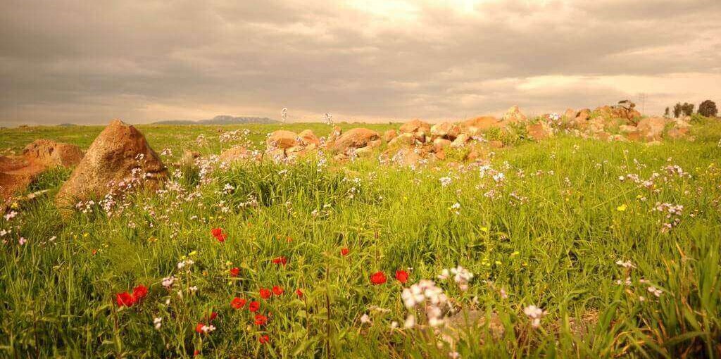 סוויטה בגב ההר אטרקציות (1).jpg