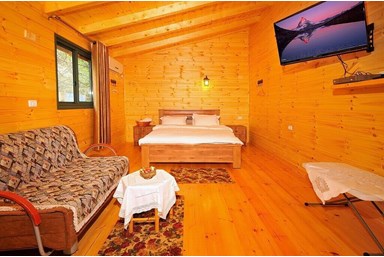 שוויצריה בגליל - וילת ספא