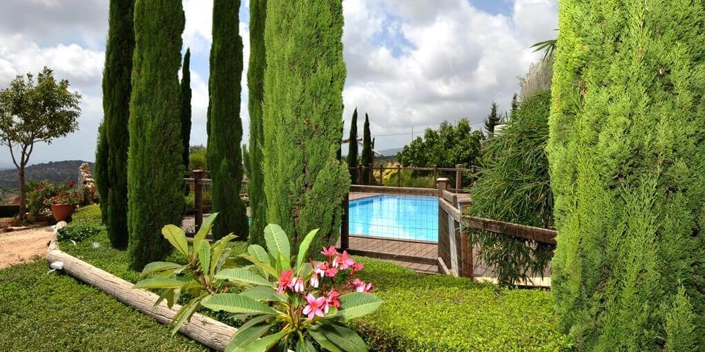 שוויצריה בגליל הבריכה (1).jpg