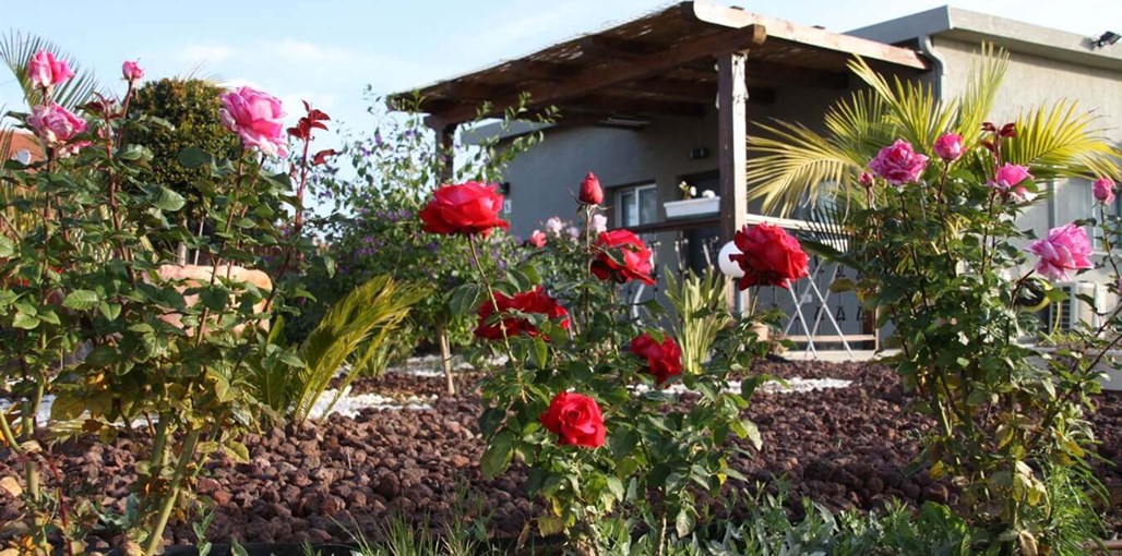 מול הצבר חצר הצימרים (6).JPG