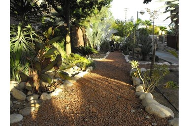 הצימר של דורה - החצר והנוף