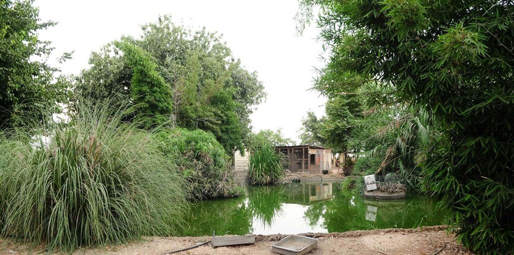 אורחן אורים המדשאות והחצר (17).JPG