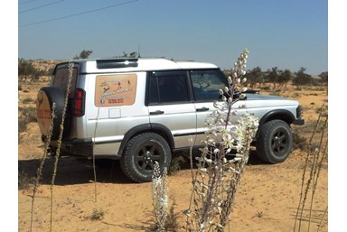 צימבר - חבילות ופינוקים