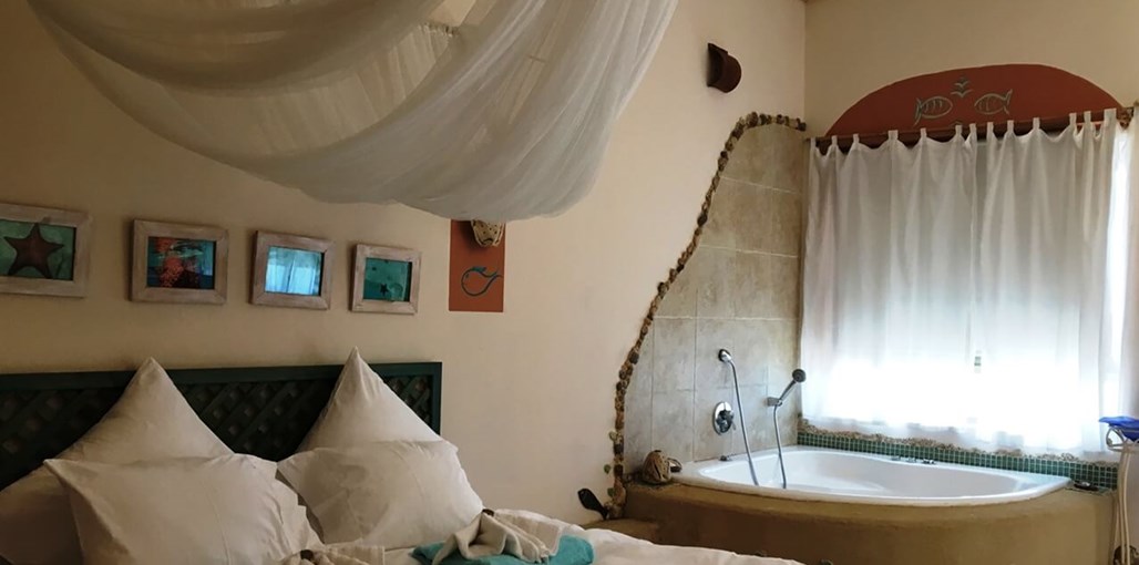 צימבר חדש-ים תיכוני (2).JPG