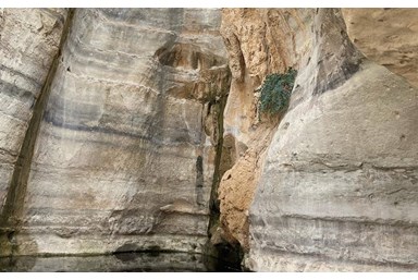 צימבר - יוצאות למדבר