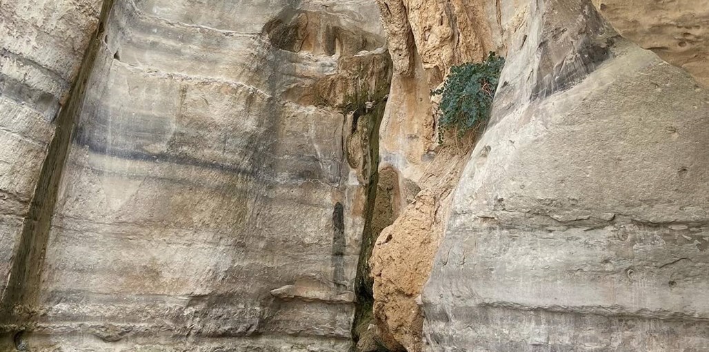 צימבר יוצאות למדבר (2).JPG