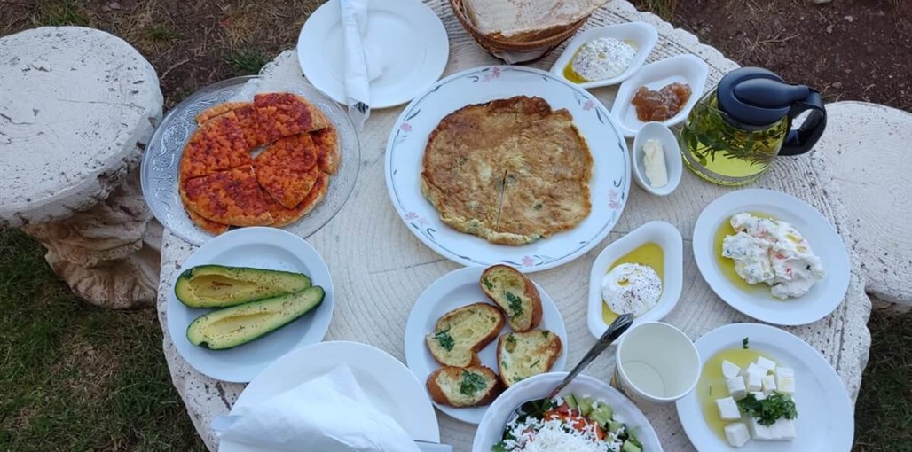 סנאבל אירוח דרוזי ארוחות (1).jpeg