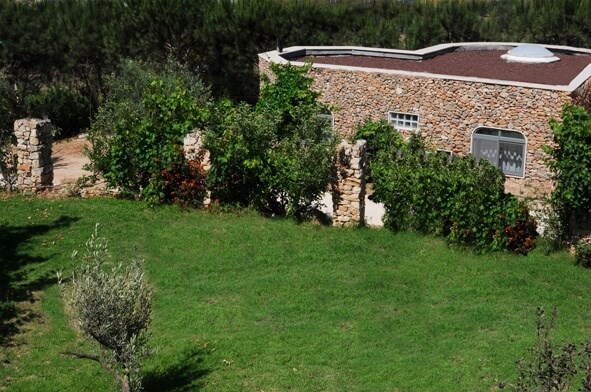 טור סיני טור סיני מבצט מבחוץ.jpg