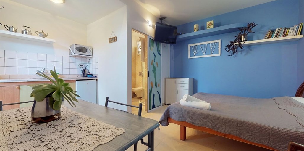 חורשה במדבר אקליפטוס (7).jpg