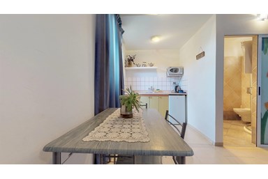 חורשה במדבר - יחידת אקליפטוס