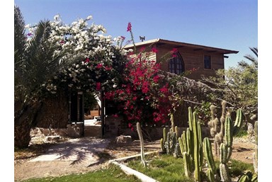 שקותאי בערבה - החצר והנוף 