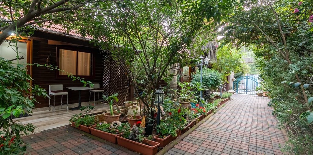 בקתות גבי בקצה היער החצר והנוף 9.jpg