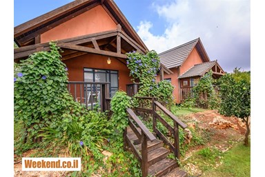 בקתות בצל הגפן  - החצר והבריכה