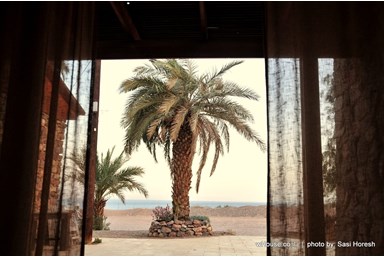 בית ויליאמס - החצר והנוף 