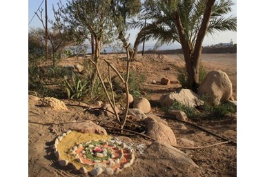 בית ויליאמס - החצר והנוף 