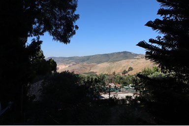 חלום בגורן - החצר והבריכה