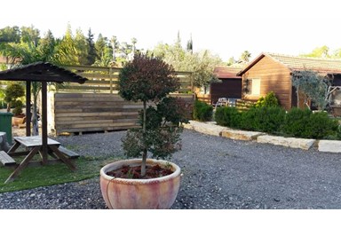 בקתות בצל הזית - הבריכה והחצר