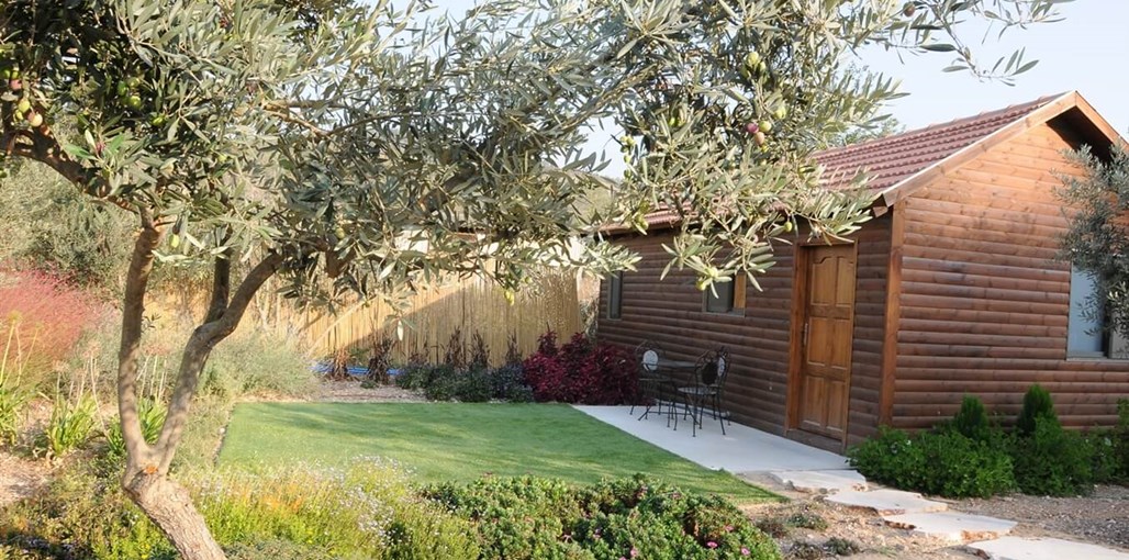 בקתות בצל הזית סביבה (2).JPG