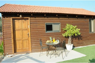 בקתות בצל הזית - הבריכה והחצר