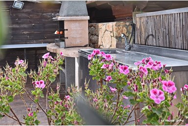 וילה מקסים - החצר