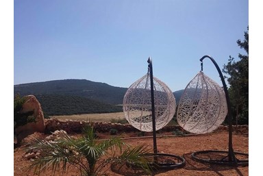 רויאל הגליל