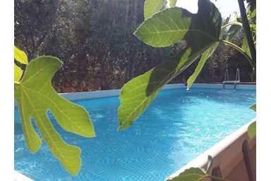 רויאל הגליל