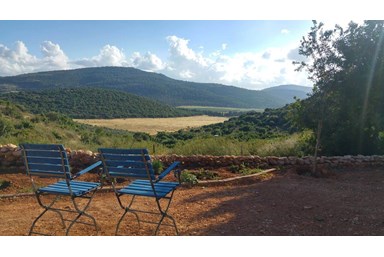 רויאל הגליל