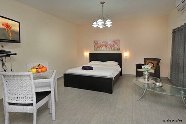 אחוזת אופוריה - החצר והבריכה 