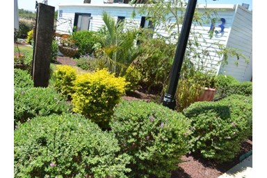 חוות כנרת - אירוח כפרי - חדרי סטודיו