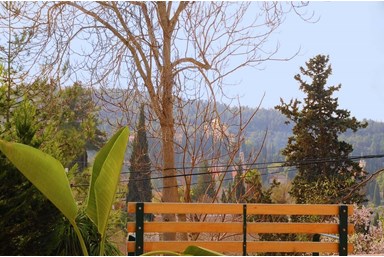 שירת הבריאה