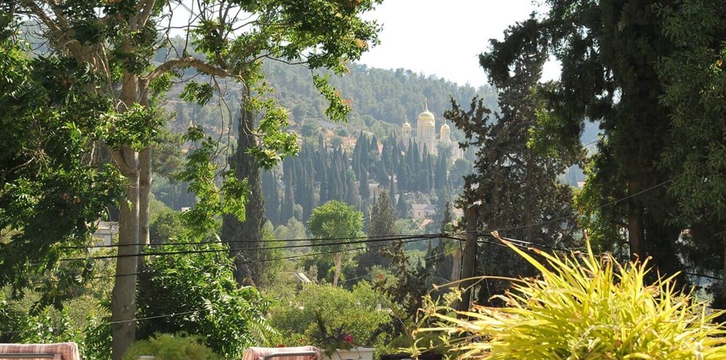 שירת הבריאה החצר והנוף (5).JPG