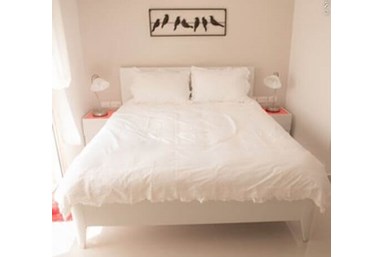 שירת המדבר יריחו