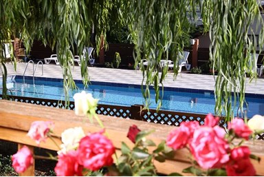 לינה בהר - סוויטת אלון