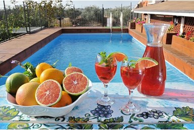 וילה רוגע בבוסתן - הוילה