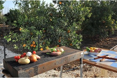 וילה רוגע בבוסתן - הוילה