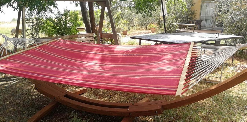 מבט לכנרת חדש 29-7 (1).jpeg