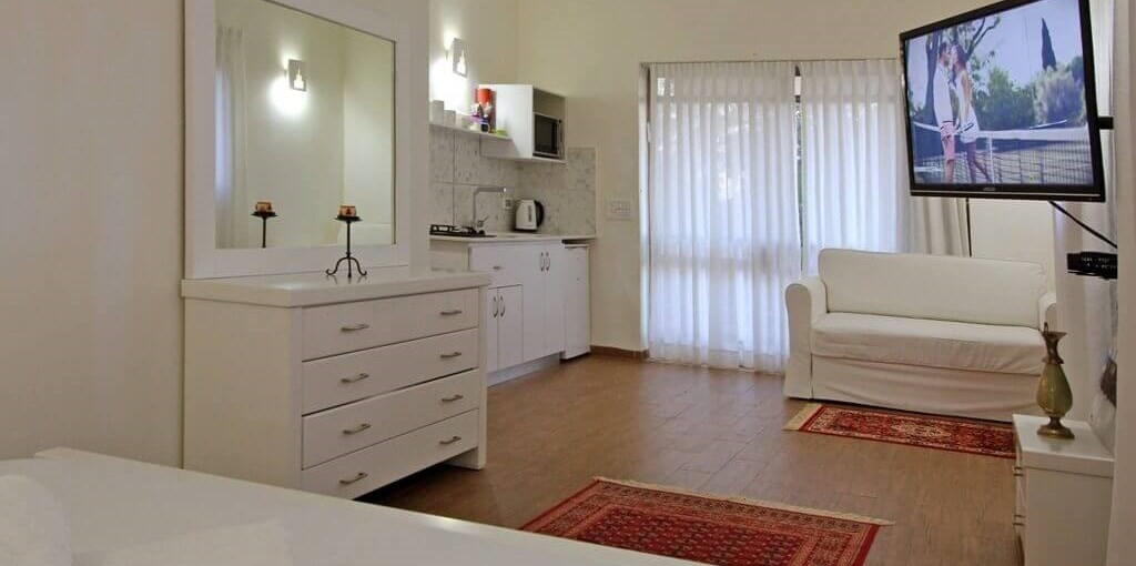 מבט לכנרת כנרת (6).jpg