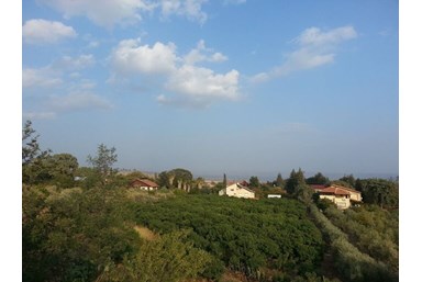 מבט לכנרת  - החצר והנוף