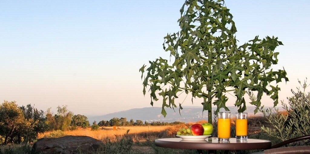 מבט לכנרת חצר ונוף (17).jpg